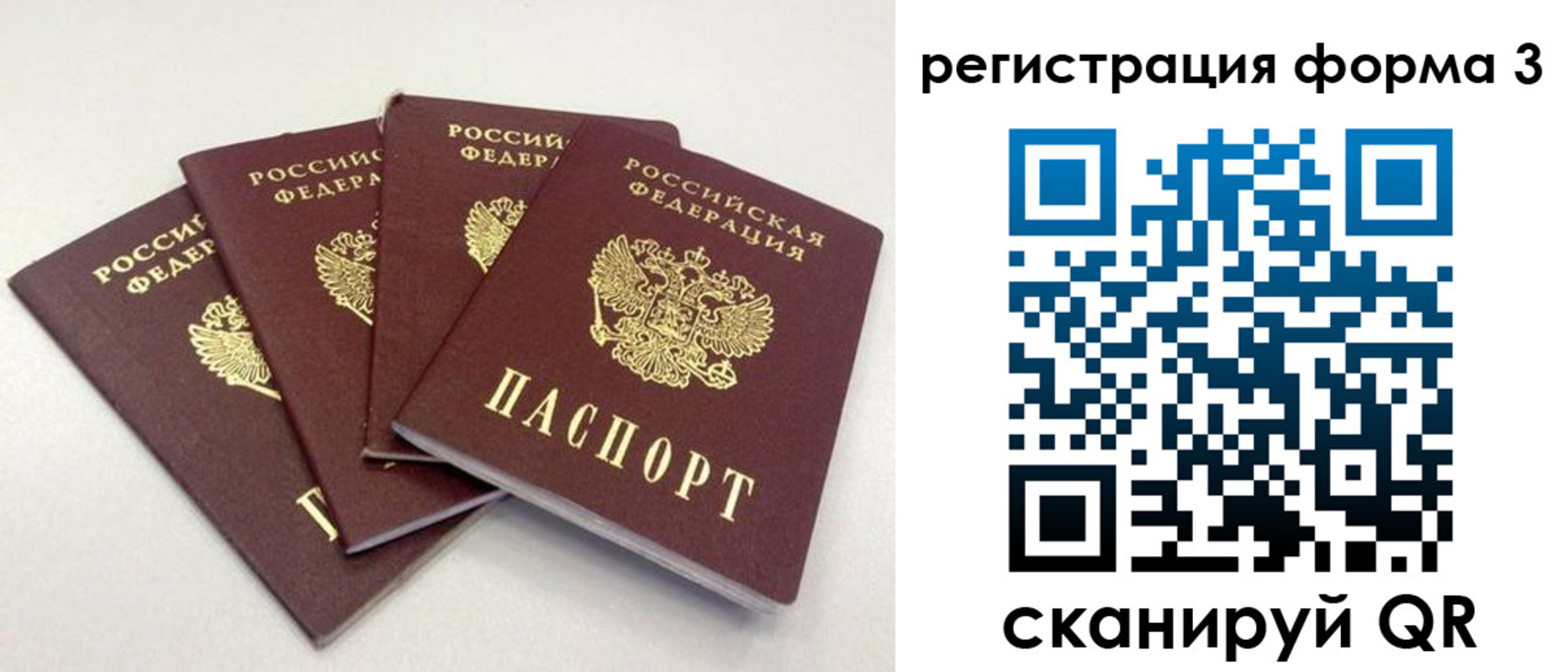 прописка 2025 в Видном